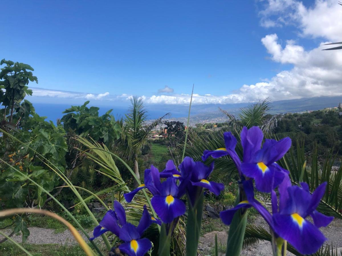 Ecolodge Tenerife Хеновес Экстерьер фото