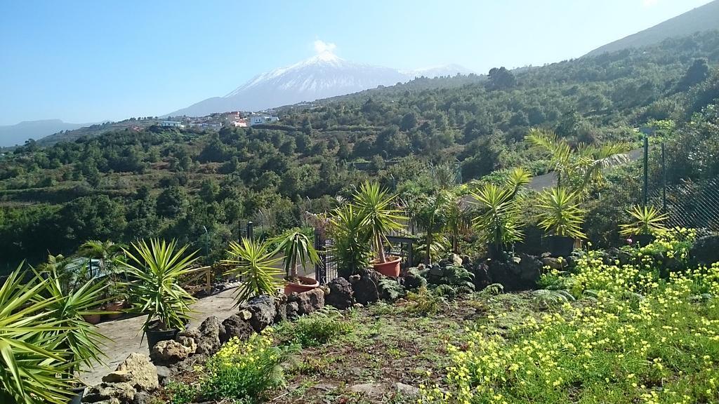 Ecolodge Tenerife Хеновес Номер фото