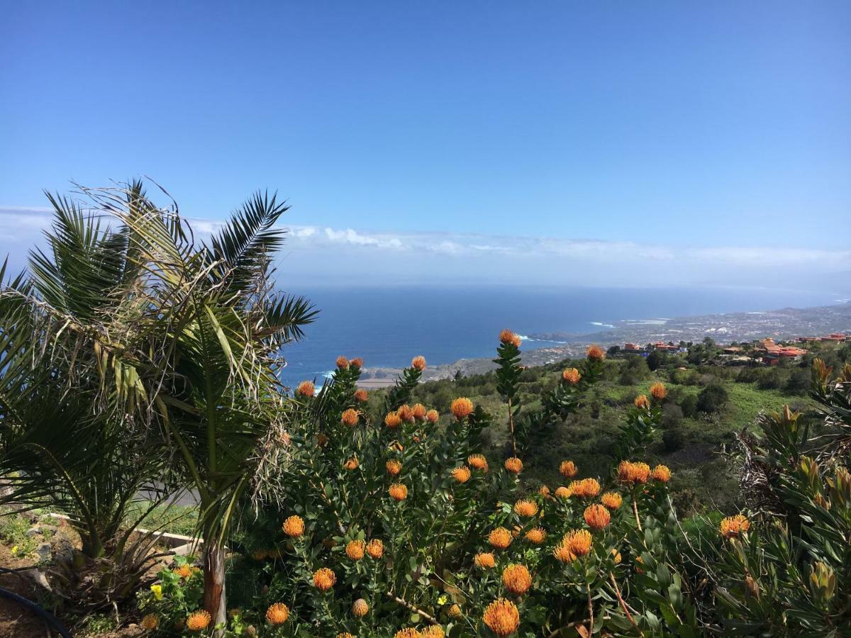 Ecolodge Tenerife Хеновес Экстерьер фото