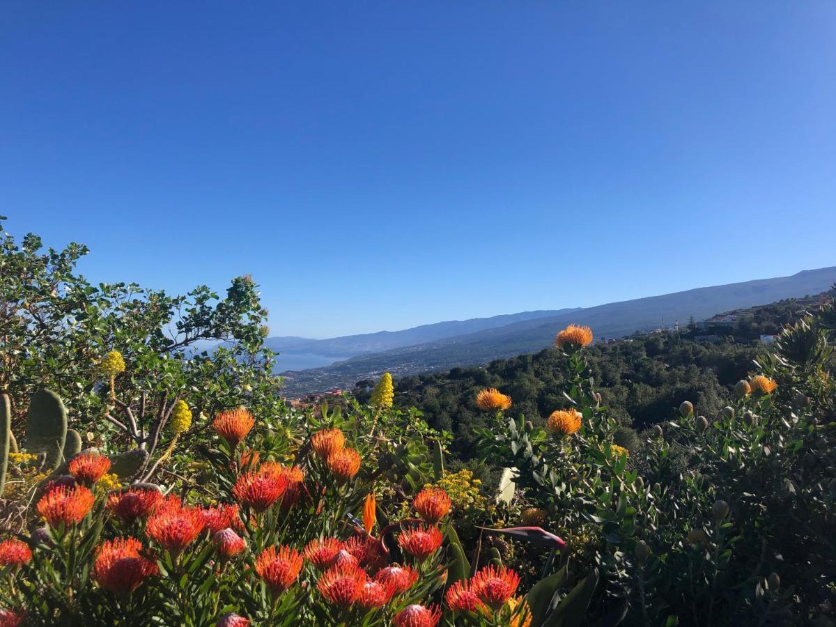 Ecolodge Tenerife Хеновес Экстерьер фото